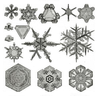 Différentes formes de flocons de neige - German School