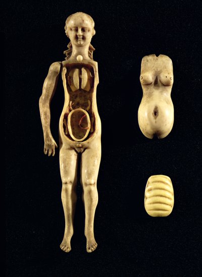 Poupée montrant l