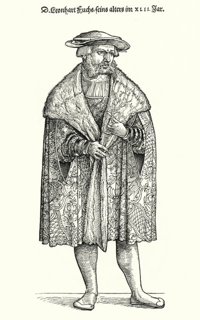 Dr Leonhart Fuchs, médecin allemand, botaniste et professeur à l