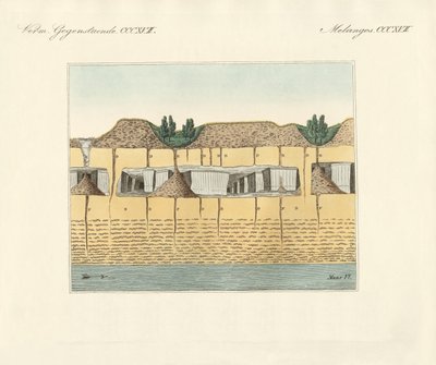 Tuyaux de terre - German School