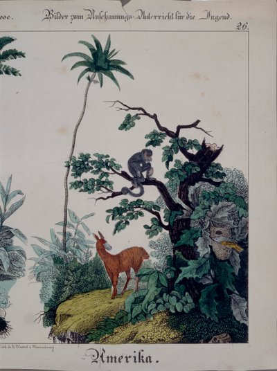 Affiche éducative représentant la flore et la faune d