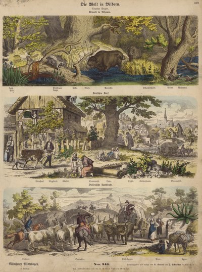 Europe : forêt en Lituanie ; village allemand ; route de campagne italienne - German School