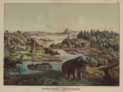 Animaux européens de la période tertiaire - German School
