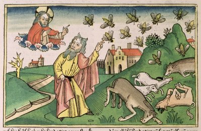 Exode 8:20-32 Les sept plaies d