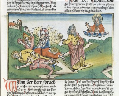 Exode 9:8-12 Les Sept Plaies d