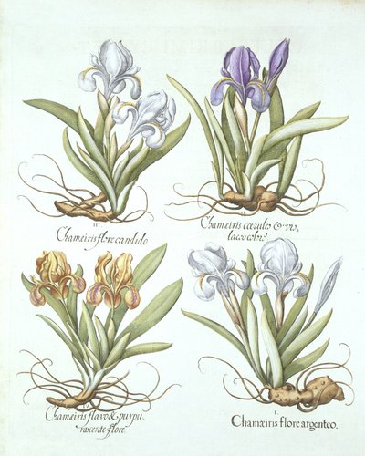 Quatre variétés d