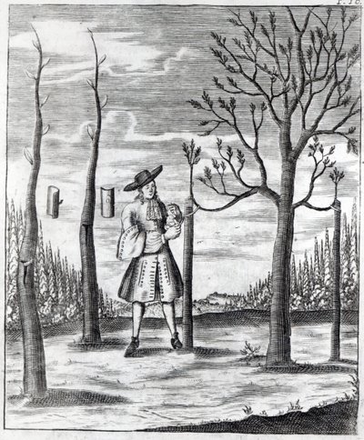 Jardinage et maladies des plantes, une illustration de 