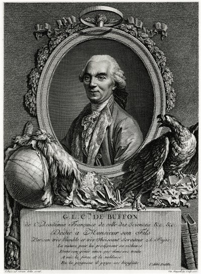 Georges-Louis Leclerc Comte de Buffon - German School