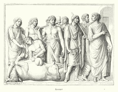 Haruspice étudiant les entrailles d