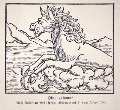 Hippopotame de la 