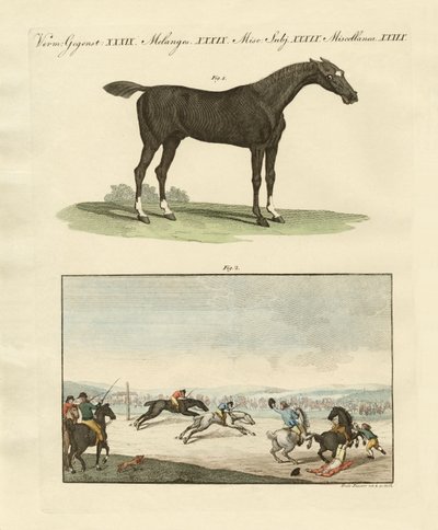 Courses de chevaux en Angleterre - German School