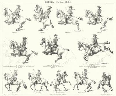 Équitation (gravure) - German School
