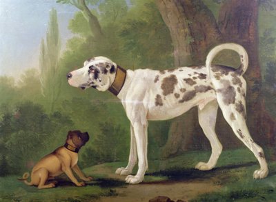 Chien de chasse et terrier - German School