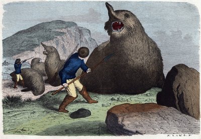 Chasseurs combattant des éléphants de mer. Dans « Wenn Jemand eine Reise thut, so kann er was erzählen », conte allemand de Franz Wiedemann - German School