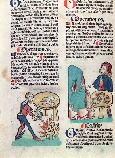 Page illustrée de Hortus Sanitatis, 1491 (gravure sur bois en couleur) - German School