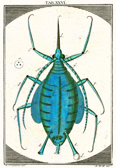 Illustration d