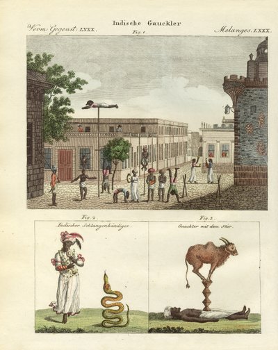 Bateleurs indiens - German School