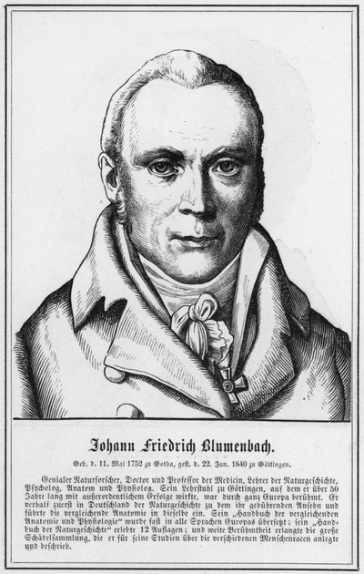 Johann Friedrich Blumenbach - German School