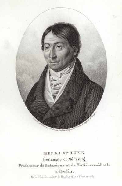 Johann Heinrich Friedrich Link - German School