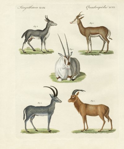 Types d