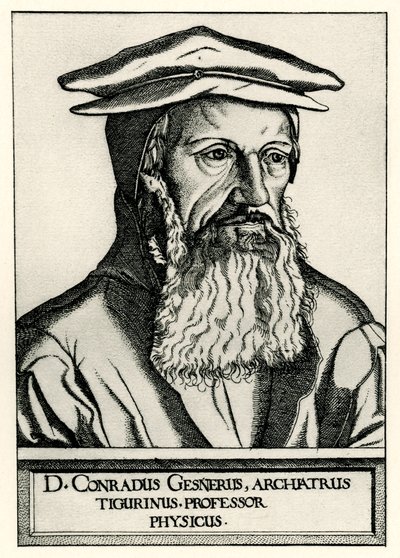 Conrad Gessner - German School