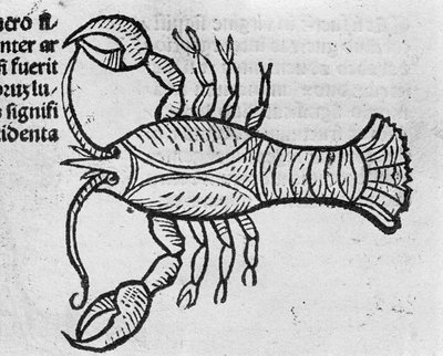 Le Cancer - dans le Traité de Johannes Angeli De Magnisconnectionibue annorum revolutionibus ac eorum perfectionibus. Augsbourg, Erhard Ratdolt - German School