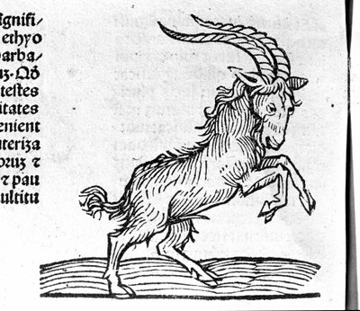 Le Capricorne - dans Traité de Johannes Angeli De Magnisconnectionibue annorum revolutionibus ac eorum perfectionibus. Augsbourg, Erhard Ratdolt - German School