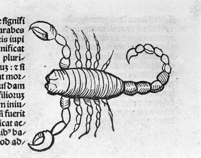 Le Scorpion - dans le Traité de Johannes Angeli De Magnisconnectionibue annorum revolutionibus ac eorum perfectionibus. Augsbourg, Erhard Ratdolt - German School