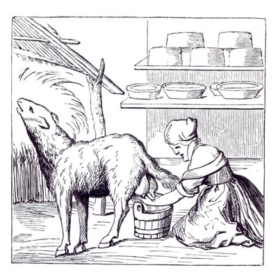 Fabrication de fromages en Suisse, d