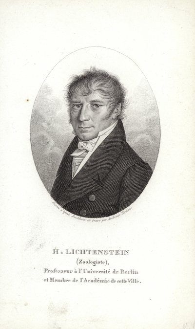 Martin Lichtenstein - German School