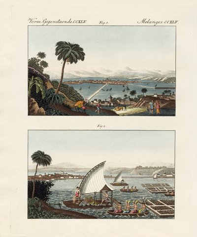 Mexico avec ses décors et jardins flottants (gravure en couleur) - German School