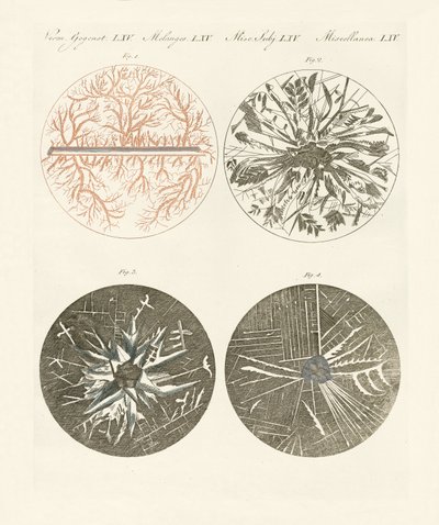 Vue microscopique de la cristallisation du métal - German School
