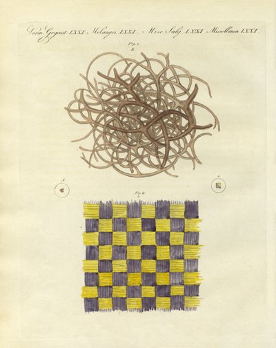 Vue microscopique de l