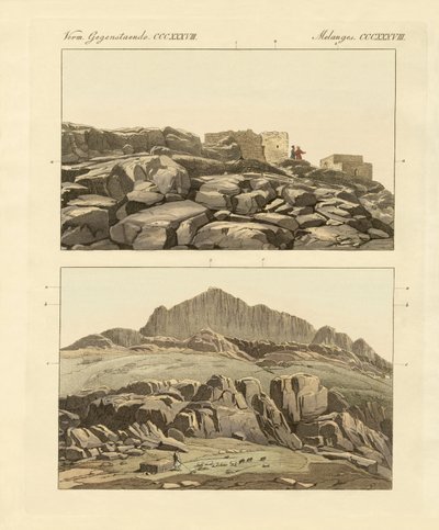 Mont Sinaï - German School