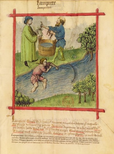 Ms Lat 9333 f.82 Pêche aux anguilles, du Tacuinum Sanitatis - German School