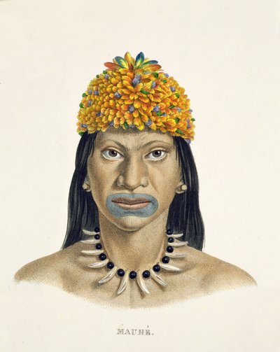 Homme natif de la tribu Mauhe, avec coiffe de petites plumes bleues et oranges, de l