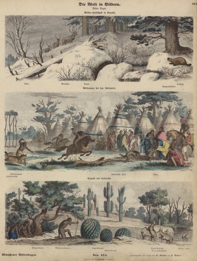 Amérique du Nord : paysage d