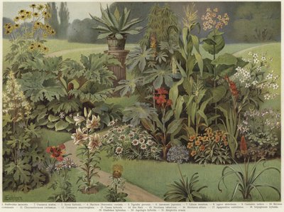 Plantes ornementales - German School
