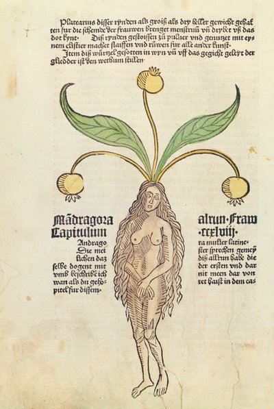 Page d