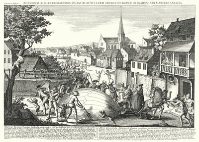 Paysans attaquant le ballon de Jacques Charles et des frères Robert après son atterrissage à Gonesse, le 27 août 1783 (gravure) - German School