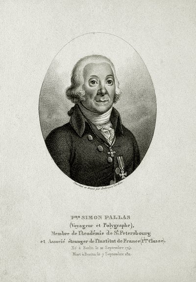 Peter Simon Pallas. (1741 – 1811) - German School