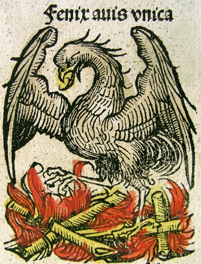 Phénix, publié dans la Chronique de Nuremberg, 1493 - German School