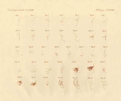 Expression physionomique de l