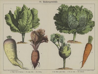 Plantes - German School