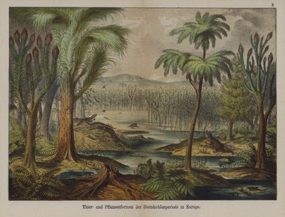 Plantes et animaux de la période carbonifère en Europe - German School