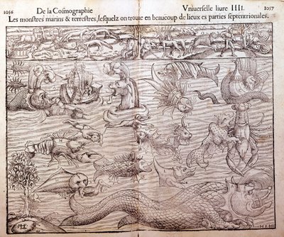 Planche représentant tous types de monstres marins et terrestres trouvés dans les régions nordiques : Xylographie tirée de la « Cosmographie Universelle » de Sébastien Munster. Bâle - German School