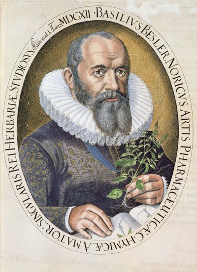 Portrait de Basil Besler (1561-1629) en 1612, du Hortus Eystettensis, pub. 1613 - German School