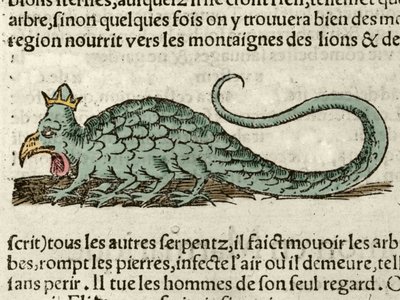 Représentation du monstre mythologique Basil. Xylographie tirée de la Cosmographie Universelle de Sébastien Munster - German School