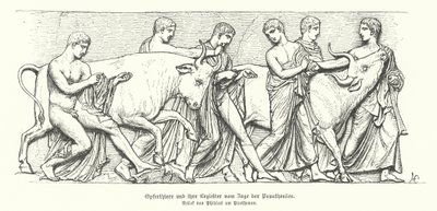 Animaux sacrificiels dans la procession grecque antique des Panathénées (gravure) - German School