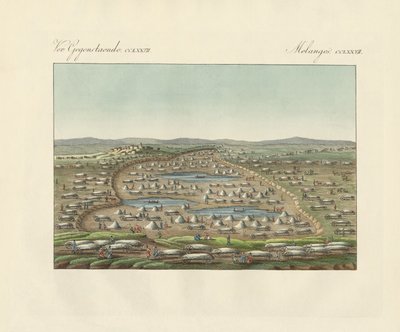 Lacs salés et terrains salins - German School